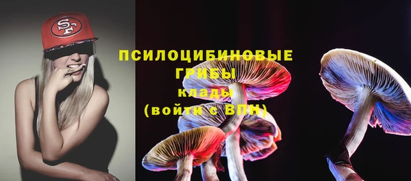 ешки Бронницы