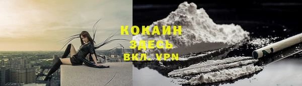 прущая мука Бородино