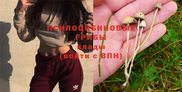 первитин Бугульма