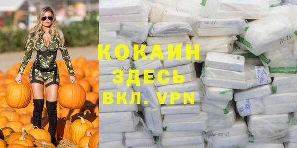 ешки Бронницы