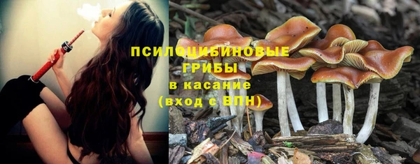 прущая мука Бородино