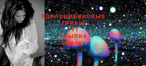 ешки Бронницы